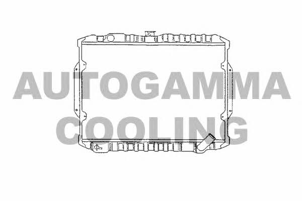 Autogamma 100587 Радіатор охолодження двигуна 100587: Купити в Україні - Добра ціна на EXIST.UA!