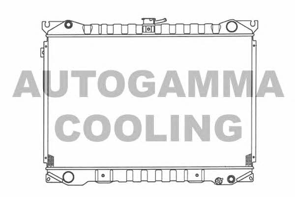 Autogamma 100611 Радіатор охолодження двигуна 100611: Купити в Україні - Добра ціна на EXIST.UA!
