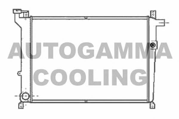 Autogamma 100613 Радіатор охолодження двигуна 100613: Приваблива ціна - Купити в Україні на EXIST.UA!