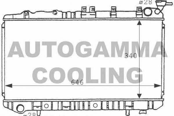 Autogamma 100633 Радіатор охолодження двигуна 100633: Купити в Україні - Добра ціна на EXIST.UA!