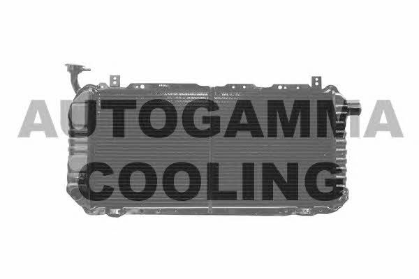 Autogamma 100635 Радіатор охолодження двигуна 100635: Купити в Україні - Добра ціна на EXIST.UA!