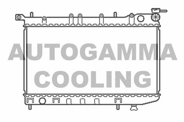 Autogamma 100649 Радіатор охолодження двигуна 100649: Купити в Україні - Добра ціна на EXIST.UA!