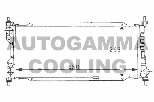 Autogamma 100675 Радіатор охолодження двигуна 100675: Купити в Україні - Добра ціна на EXIST.UA!