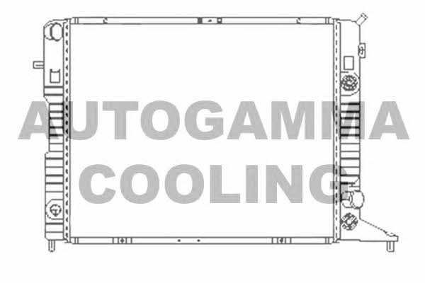 Autogamma 100711 Радіатор охолодження двигуна 100711: Приваблива ціна - Купити в Україні на EXIST.UA!