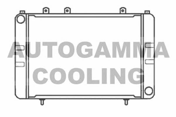 Autogamma 100712 Радіатор охолодження двигуна 100712: Купити в Україні - Добра ціна на EXIST.UA!