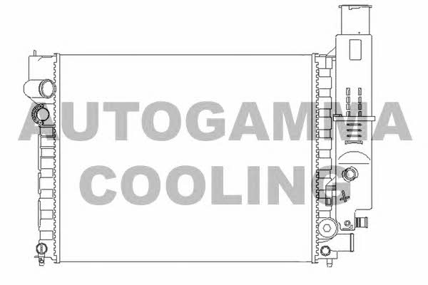 Autogamma 100764 Радіатор охолодження двигуна 100764: Купити в Україні - Добра ціна на EXIST.UA!