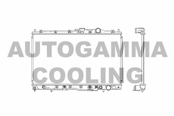 Autogamma 101133 Радіатор охолодження двигуна 101133: Купити в Україні - Добра ціна на EXIST.UA!