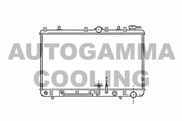 Autogamma 101204 Радіатор охолодження двигуна 101204: Купити в Україні - Добра ціна на EXIST.UA!