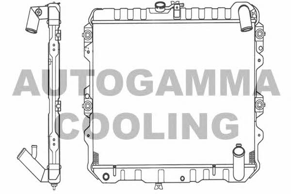 Autogamma 101216 Радіатор охолодження двигуна 101216: Купити в Україні - Добра ціна на EXIST.UA!