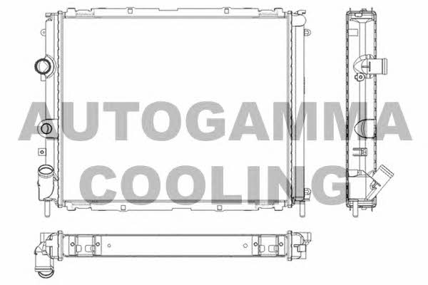 Autogamma 101242 Радіатор охолодження двигуна 101242: Купити в Україні - Добра ціна на EXIST.UA!