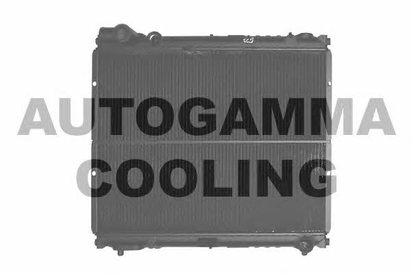 Autogamma 101267 Радіатор охолодження двигуна 101267: Купити в Україні - Добра ціна на EXIST.UA!
