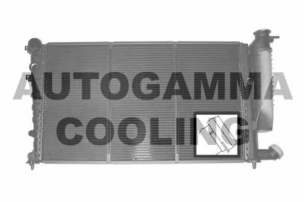 Autogamma 101313 Радіатор охолодження двигуна 101313: Купити в Україні - Добра ціна на EXIST.UA!