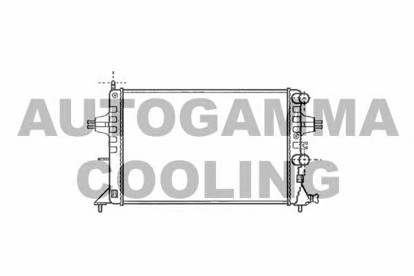 Autogamma 101338 Радіатор охолодження двигуна 101338: Купити в Україні - Добра ціна на EXIST.UA!