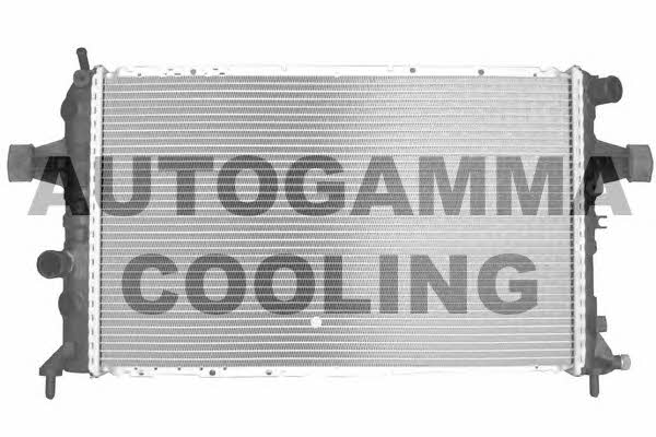 Autogamma 101341 Радіатор охолодження двигуна 101341: Купити в Україні - Добра ціна на EXIST.UA!
