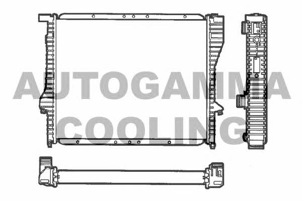 Autogamma 101362 Радіатор охолодження двигуна 101362: Купити в Україні - Добра ціна на EXIST.UA!