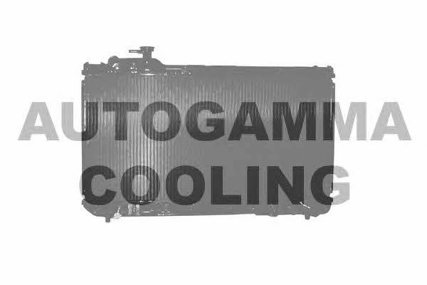 Autogamma 101438 Радіатор охолодження двигуна 101438: Приваблива ціна - Купити в Україні на EXIST.UA!