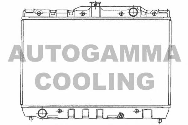 Autogamma 101001 Радіатор охолодження двигуна 101001: Купити в Україні - Добра ціна на EXIST.UA!