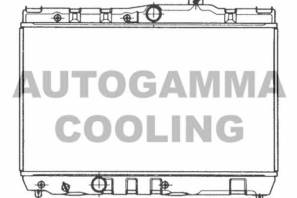 Autogamma 101002 Радіатор охолодження двигуна 101002: Приваблива ціна - Купити в Україні на EXIST.UA!