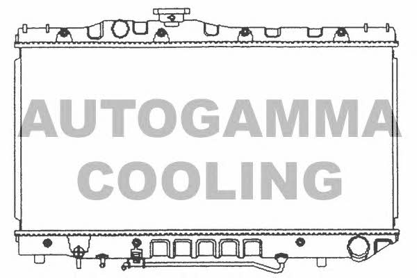 Autogamma 101006 Радіатор охолодження двигуна 101006: Купити в Україні - Добра ціна на EXIST.UA!