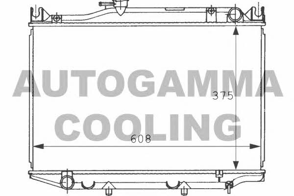 Autogamma 101007 Радіатор охолодження двигуна 101007: Купити в Україні - Добра ціна на EXIST.UA!