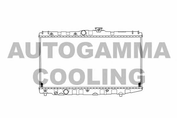 Autogamma 101014 Радіатор охолодження двигуна 101014: Купити в Україні - Добра ціна на EXIST.UA!