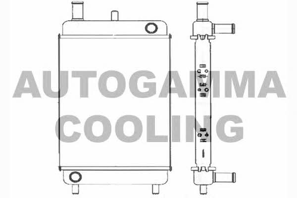Autogamma 104367 Радіатор охолодження двигуна 104367: Купити в Україні - Добра ціна на EXIST.UA!