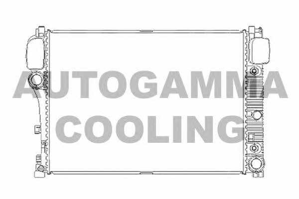 Autogamma 104538 Радіатор охолодження двигуна 104538: Купити в Україні - Добра ціна на EXIST.UA!
