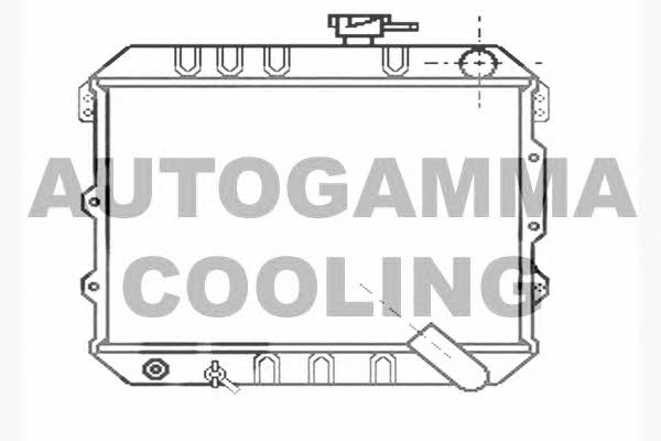 Autogamma 104547 Радіатор охолодження двигуна 104547: Купити в Україні - Добра ціна на EXIST.UA!
