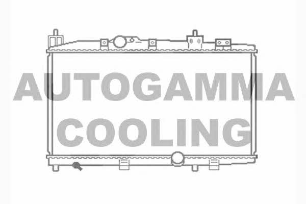 Autogamma 104566 Радіатор охолодження двигуна 104566: Купити в Україні - Добра ціна на EXIST.UA!