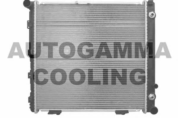 Autogamma 102002 Радіатор охолодження двигуна 102002: Купити в Україні - Добра ціна на EXIST.UA!
