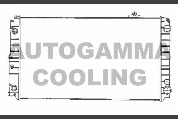 Autogamma 102027 Радіатор охолодження двигуна 102027: Купити в Україні - Добра ціна на EXIST.UA!