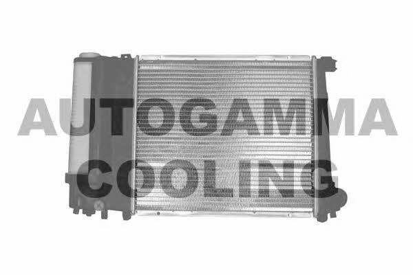 Autogamma 102031 Радіатор охолодження двигуна 102031: Купити в Україні - Добра ціна на EXIST.UA!