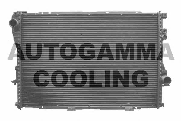 Autogamma 102042 Радіатор охолодження двигуна 102042: Купити в Україні - Добра ціна на EXIST.UA!