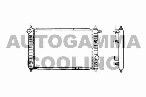 Autogamma 102052 Радіатор охолодження двигуна 102052: Купити в Україні - Добра ціна на EXIST.UA!
