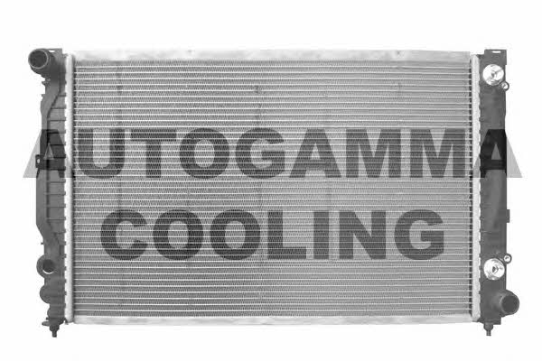 Autogamma 102056 Радіатор охолодження двигуна 102056: Купити в Україні - Добра ціна на EXIST.UA!