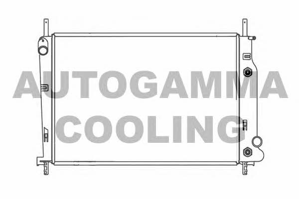 Autogamma 102069 Радіатор охолодження двигуна 102069: Купити в Україні - Добра ціна на EXIST.UA!