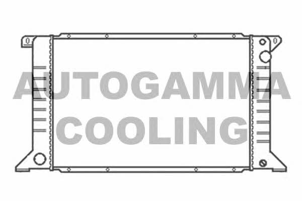 Autogamma 102079 Радіатор охолодження двигуна 102079: Купити в Україні - Добра ціна на EXIST.UA!