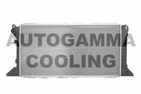 Autogamma 102089 Радіатор охолодження двигуна 102089: Купити в Україні - Добра ціна на EXIST.UA!