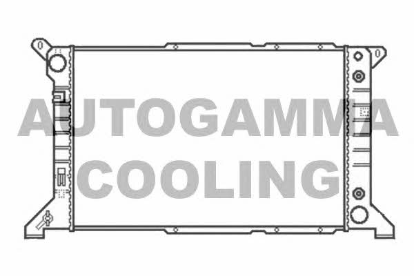 Autogamma 102090 Радіатор охолодження двигуна 102090: Купити в Україні - Добра ціна на EXIST.UA!