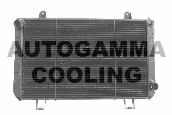 Autogamma 102095 Радіатор охолодження двигуна 102095: Купити в Україні - Добра ціна на EXIST.UA!