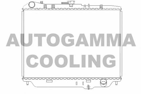 Autogamma 102127 Радіатор охолодження двигуна 102127: Купити в Україні - Добра ціна на EXIST.UA!