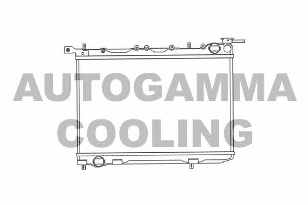 Autogamma 102182 Радіатор охолодження двигуна 102182: Купити в Україні - Добра ціна на EXIST.UA!