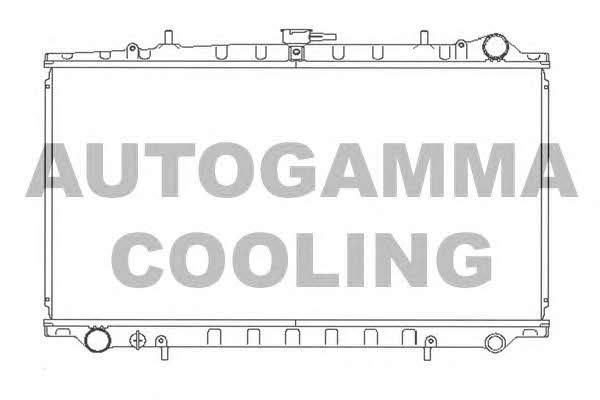 Autogamma 102195 Радіатор охолодження двигуна 102195: Купити в Україні - Добра ціна на EXIST.UA!
