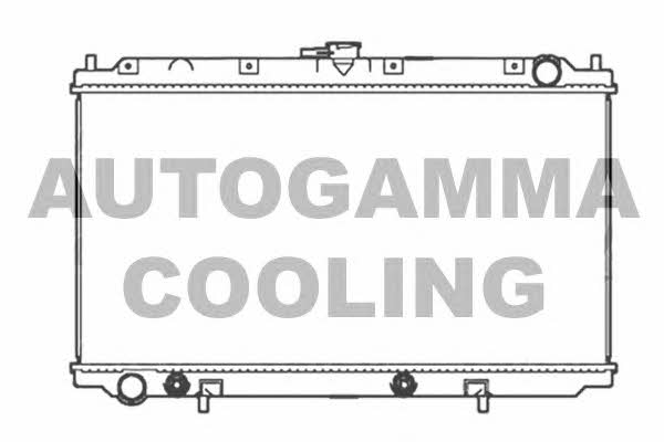 Autogamma 102196 Радіатор охолодження двигуна 102196: Купити в Україні - Добра ціна на EXIST.UA!