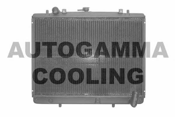 Autogamma 102211 Радіатор охолодження двигуна 102211: Приваблива ціна - Купити в Україні на EXIST.UA!
