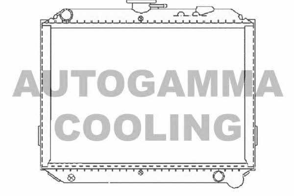 Autogamma 102216 Радіатор охолодження двигуна 102216: Купити в Україні - Добра ціна на EXIST.UA!