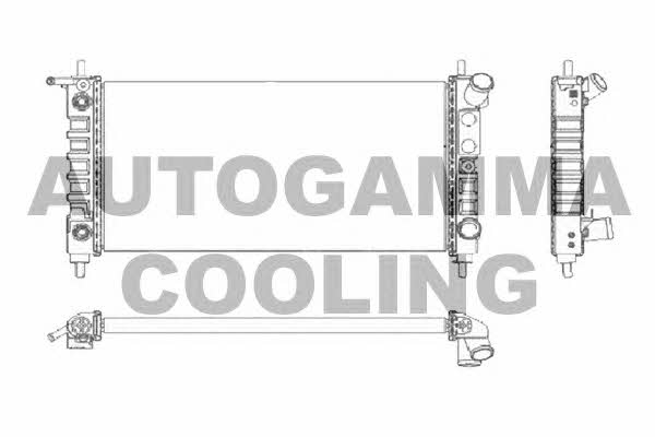 Autogamma 102224 Радіатор охолодження двигуна 102224: Купити в Україні - Добра ціна на EXIST.UA!
