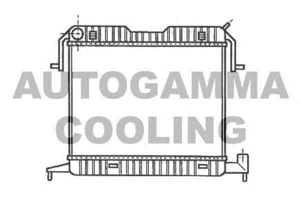 Autogamma 102235 Радіатор охолодження двигуна 102235: Купити в Україні - Добра ціна на EXIST.UA!