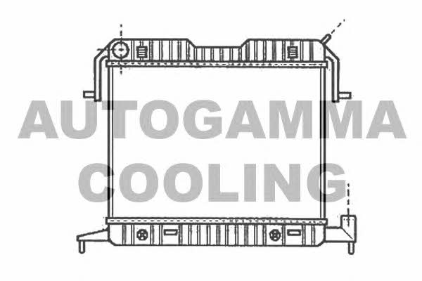 Autogamma 102236 Радіатор охолодження двигуна 102236: Купити в Україні - Добра ціна на EXIST.UA!