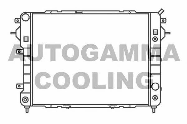 Autogamma 102239 Радіатор охолодження двигуна 102239: Купити в Україні - Добра ціна на EXIST.UA!